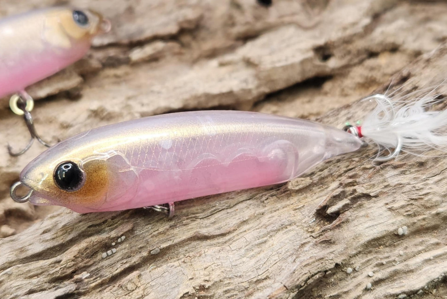 Megabass Karashi 75ko BFS