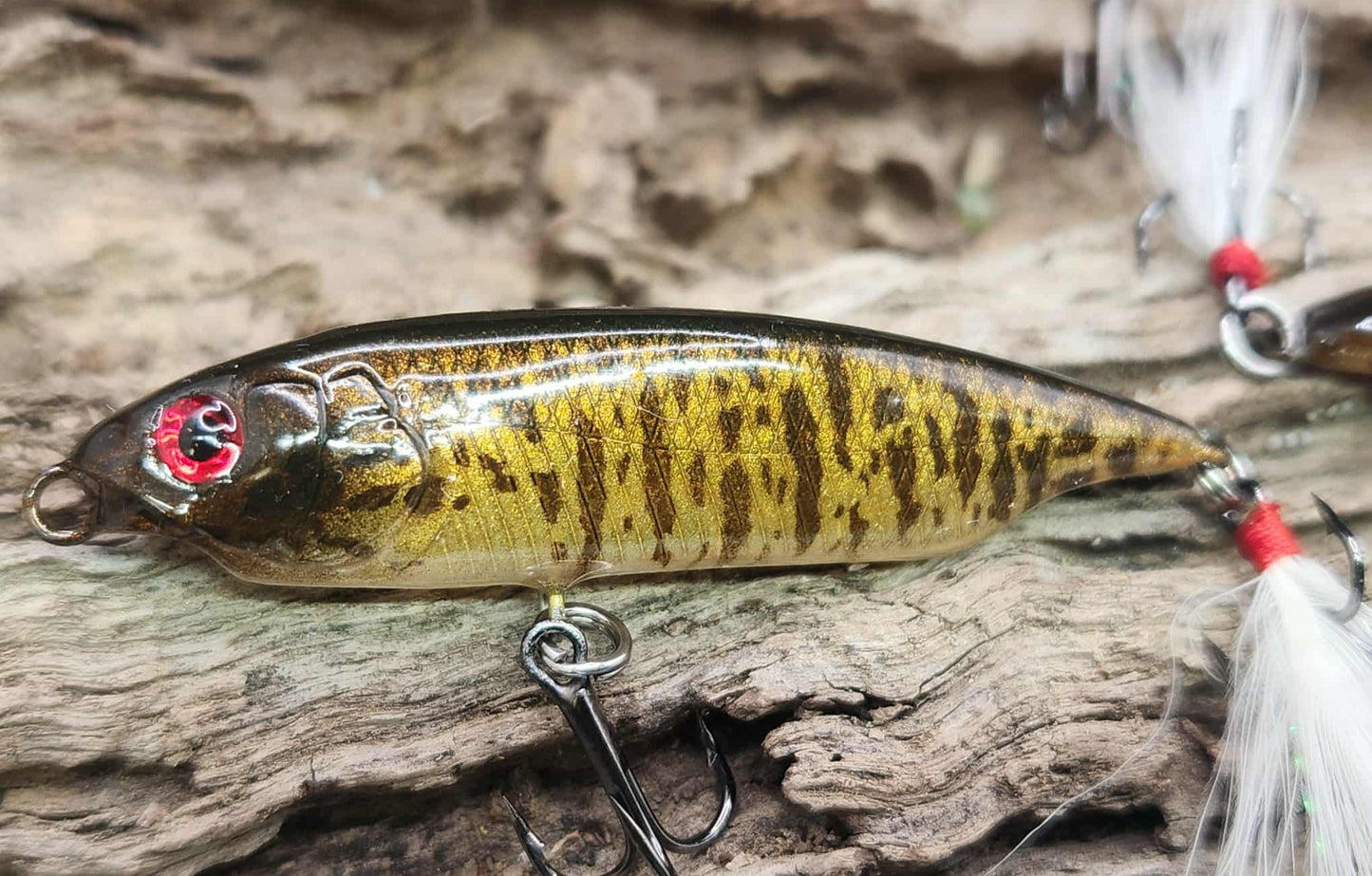 Megabass Karashi 60ko BFS