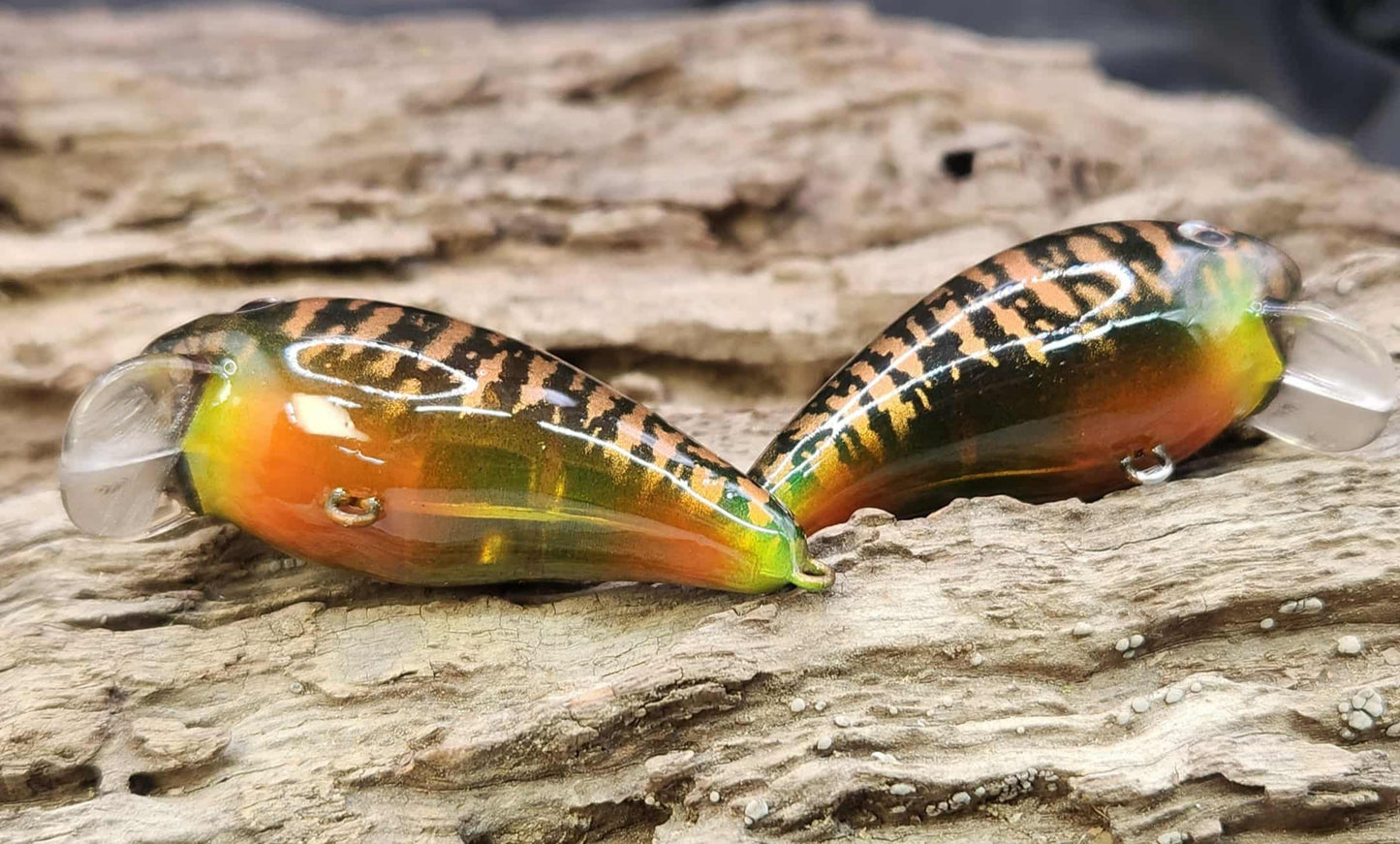 Mann's Baby 1 Minus ko