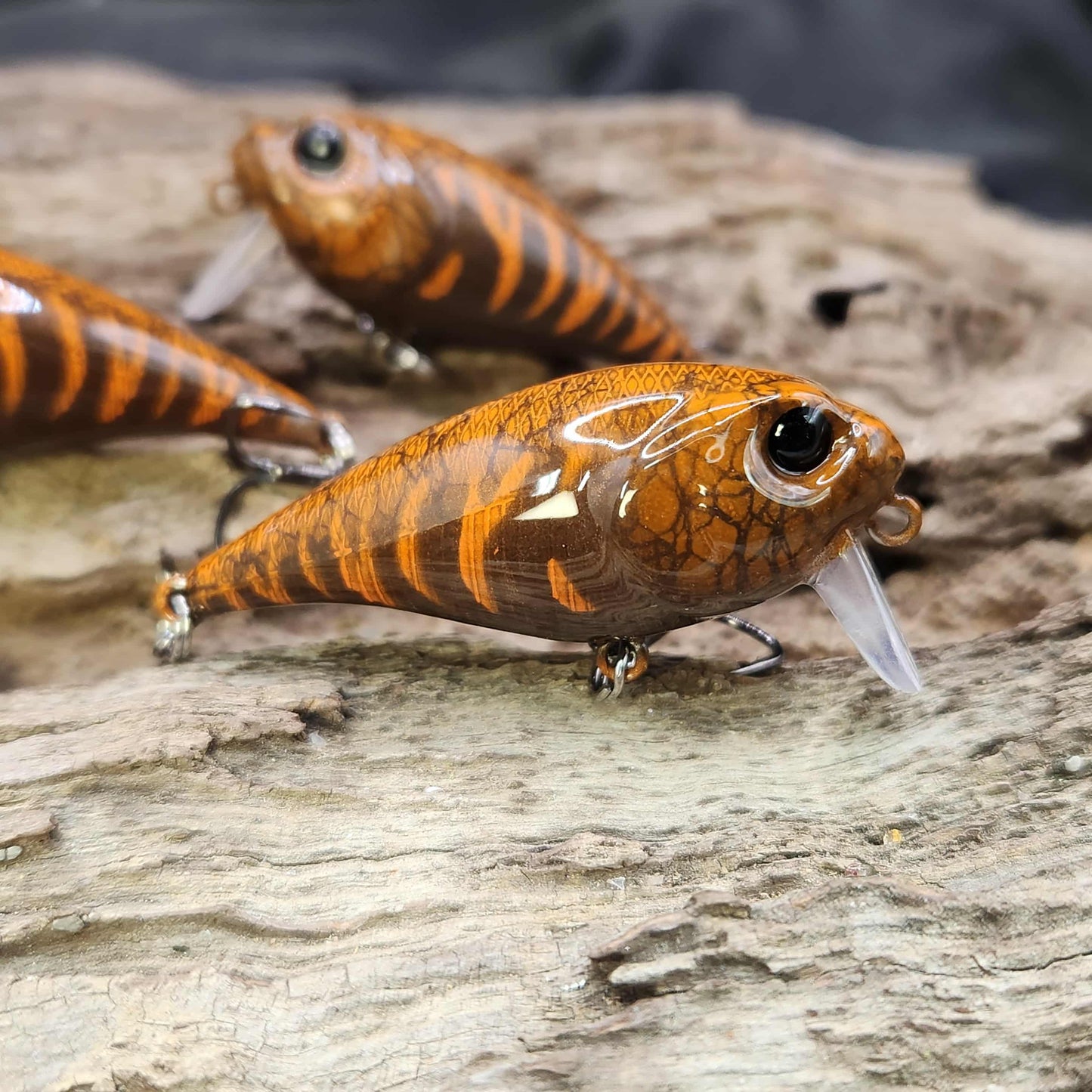 Twelve Oaks Signature Wake