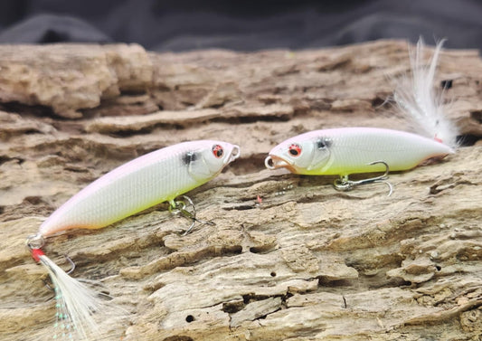 Megabass Karashi 60ko BFS