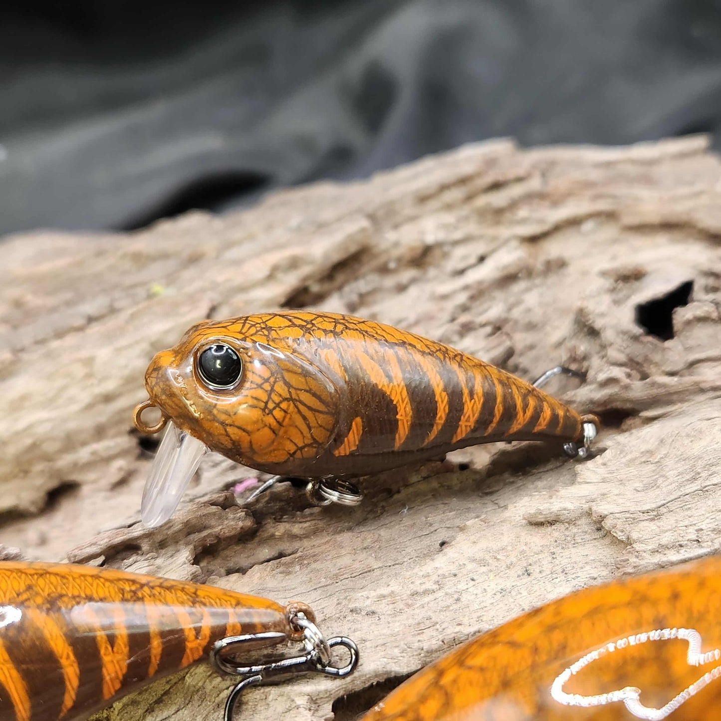 Twelve Oaks Signature Wake