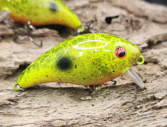 Mann's Baby 1 Minus ko