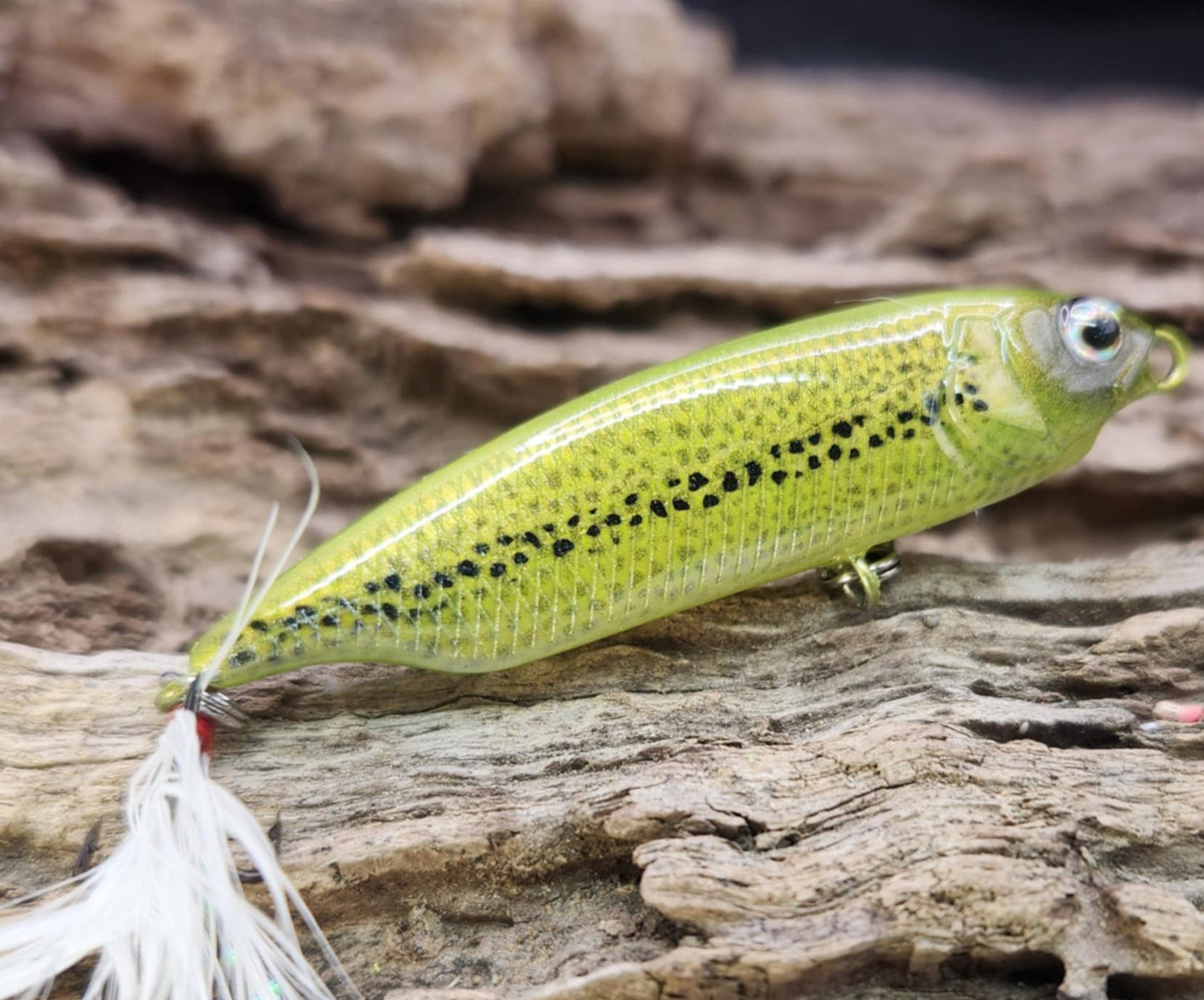 Megabass Karashi 60ko BFS