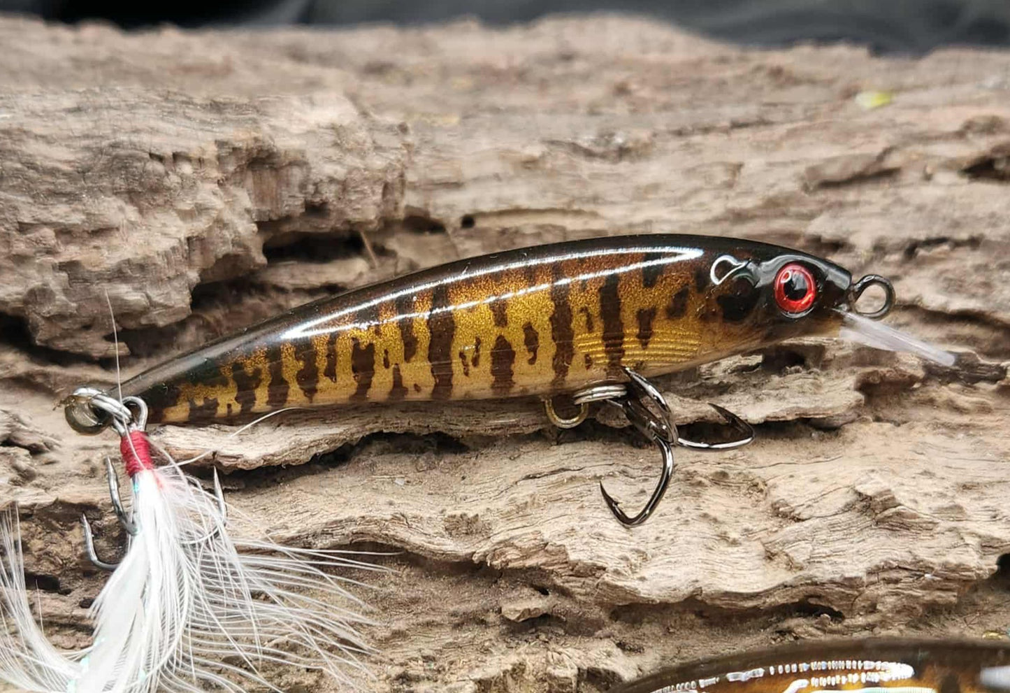 Rapala X-Rap ko 3"