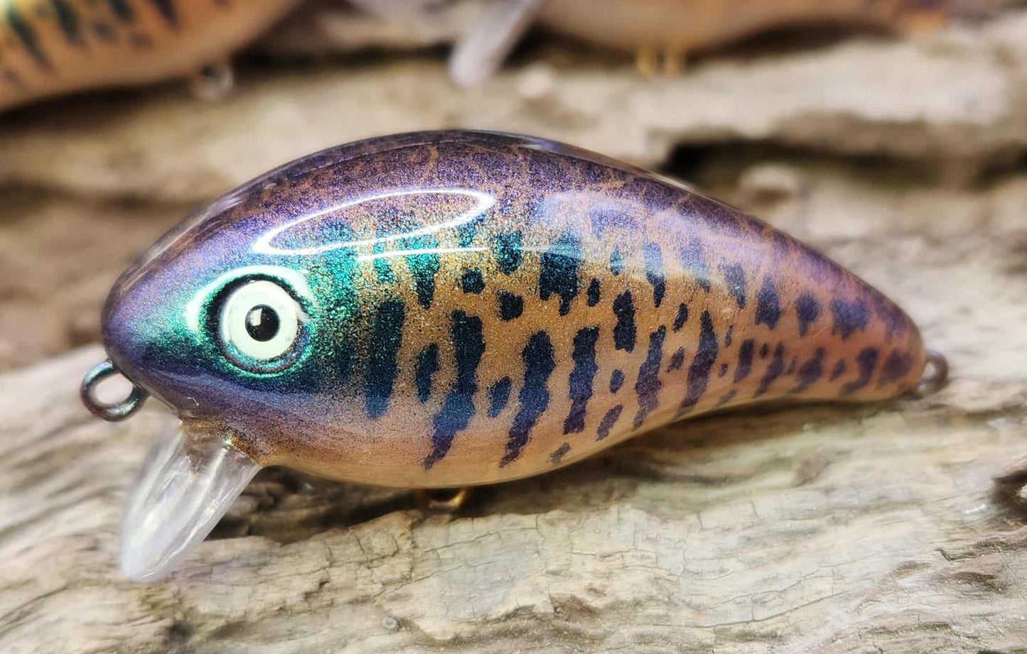 Mann's Baby 1 Minus ko