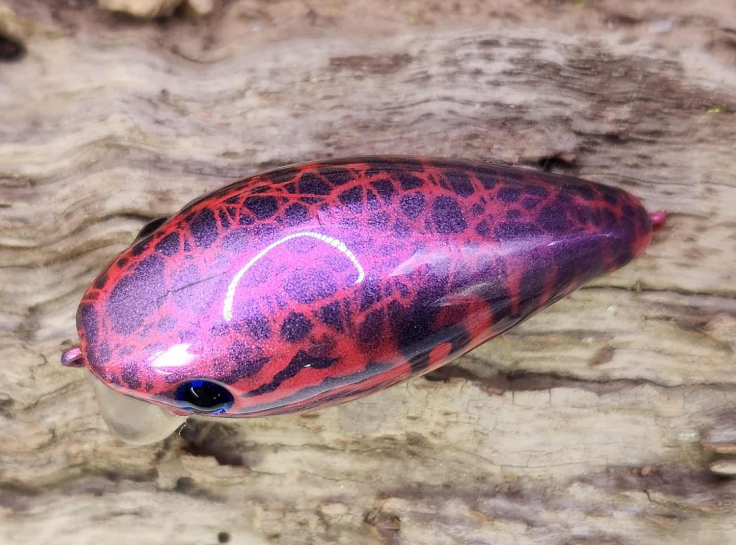 Mann's Baby 1 Minus ko