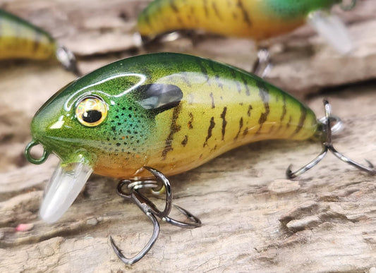 Mann's Baby 1 Minus ko