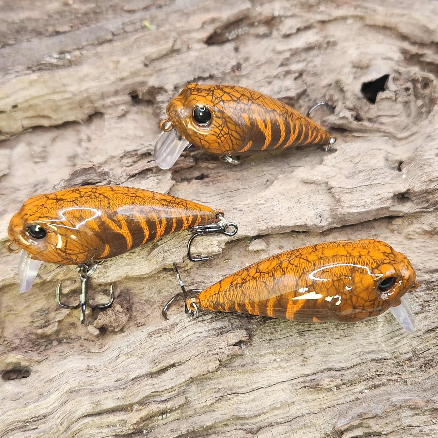 Twelve Oaks Signature Wake