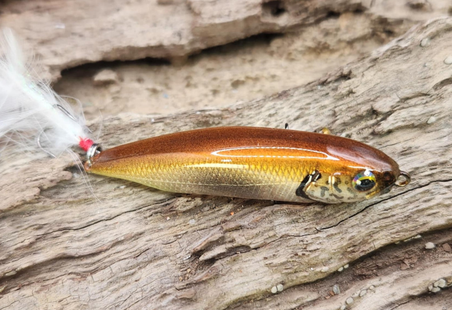 Megabass Karashi 60ko BFS