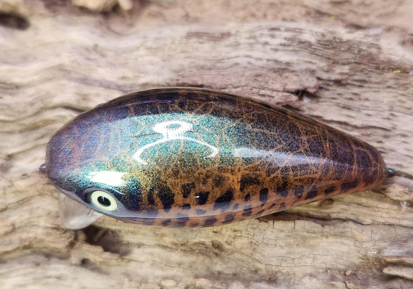 Mann's Baby 1 Minus ko