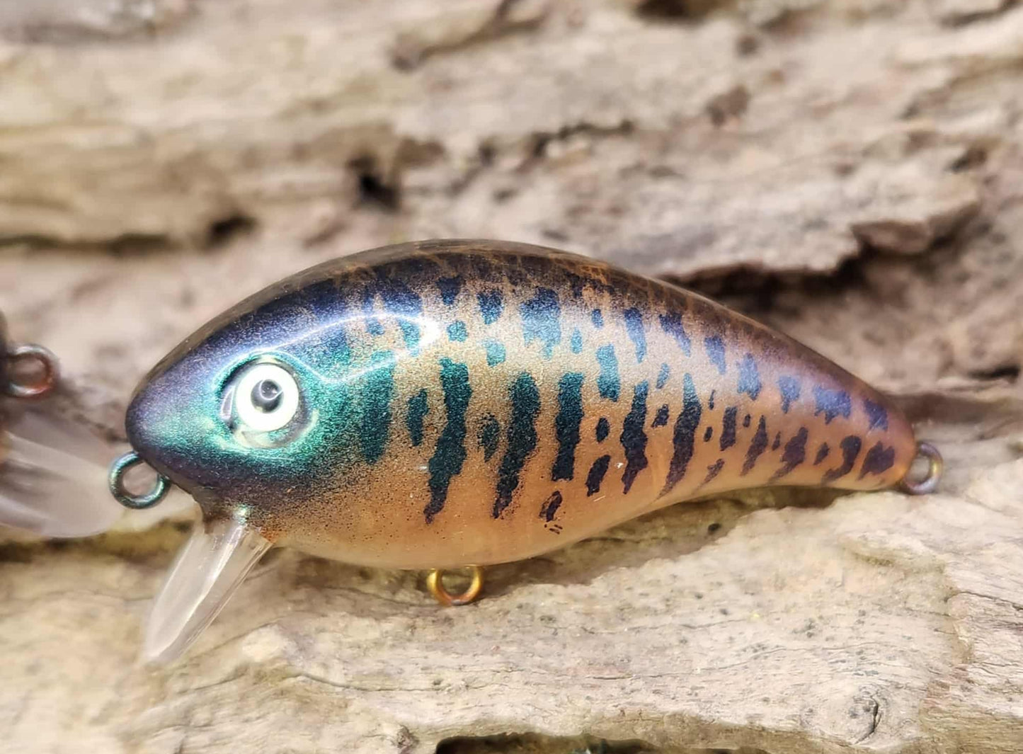 Mann's Baby 1 Minus ko