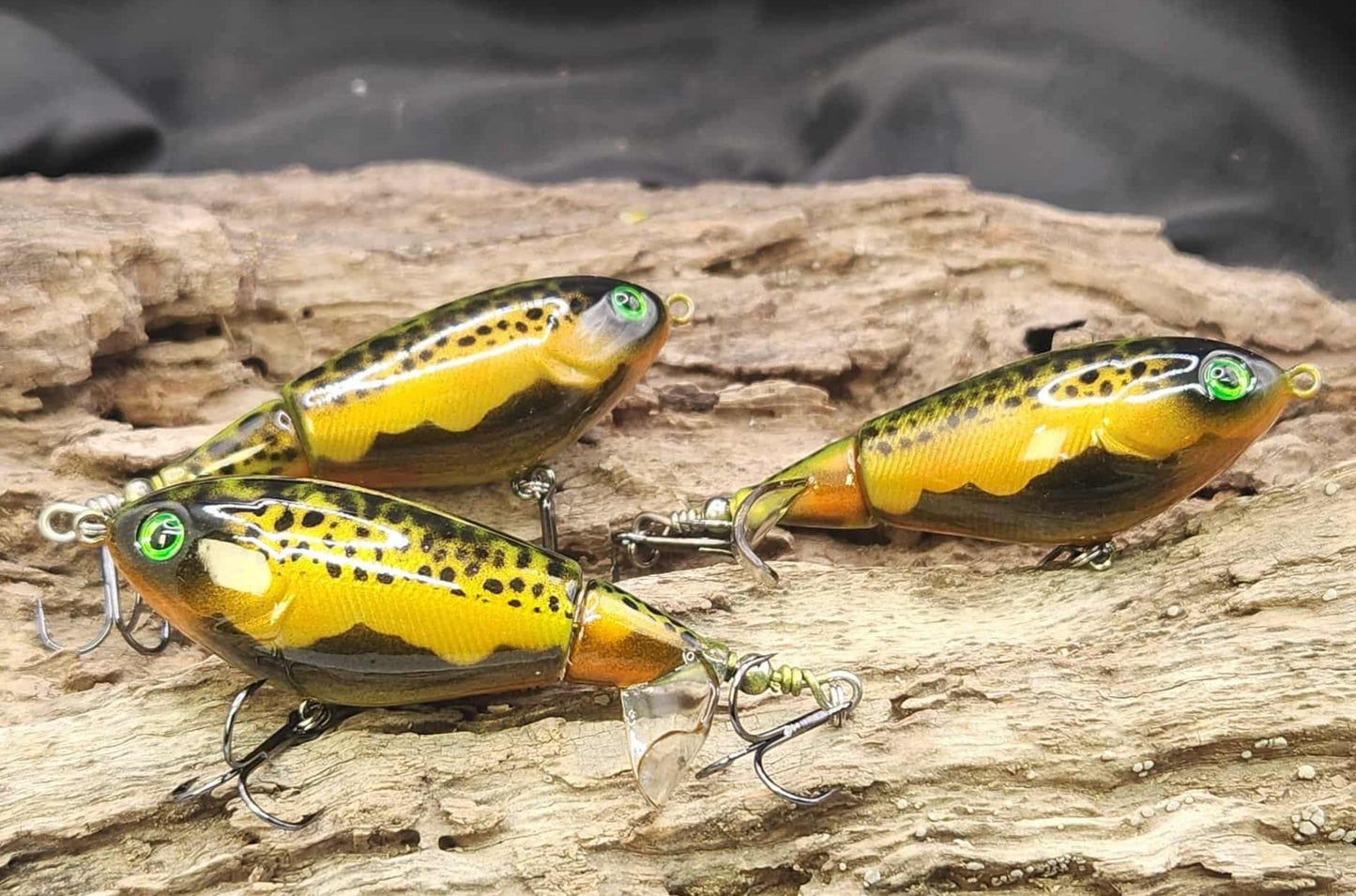 Berkeley Choppo 75  repaint⁹