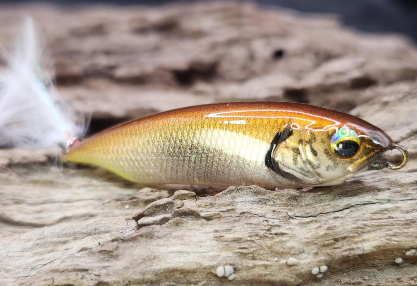 Megabass Karashi 60ko BFS