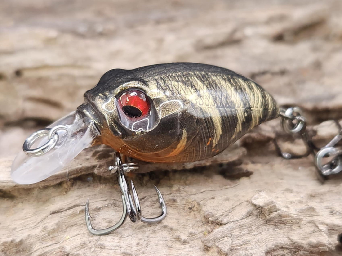 Megabass Griffon BFS ko