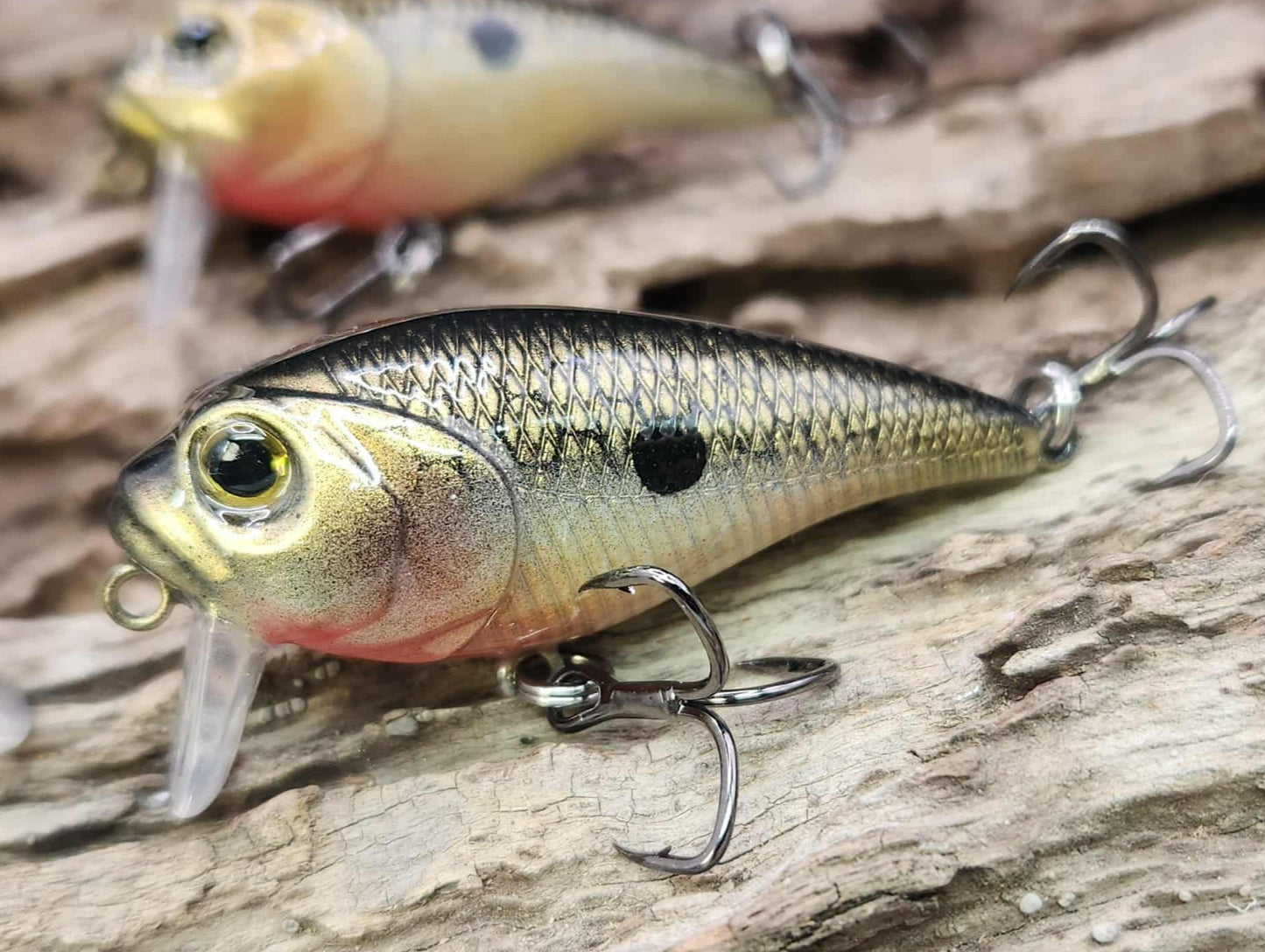 Twelve Oaks Signature Wake