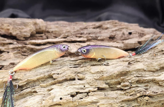 Megabass Karashi 60ko BFS