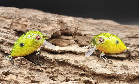 Mini Bubble Wake BFS