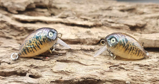 Mini Bubble Wake BFS