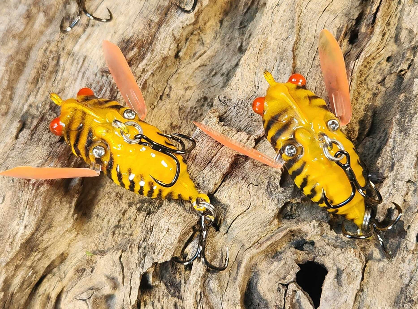 Pom Pom Cicada Crawler