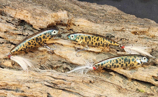 Megabass Karashi 60 ko. BFS