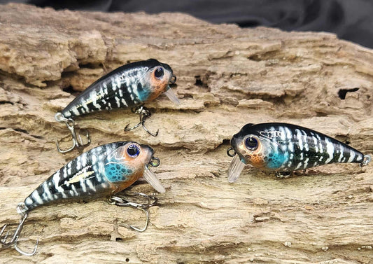 Twelve Oaks Signature Wake