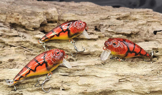 Twelve Oaks Signature Wake