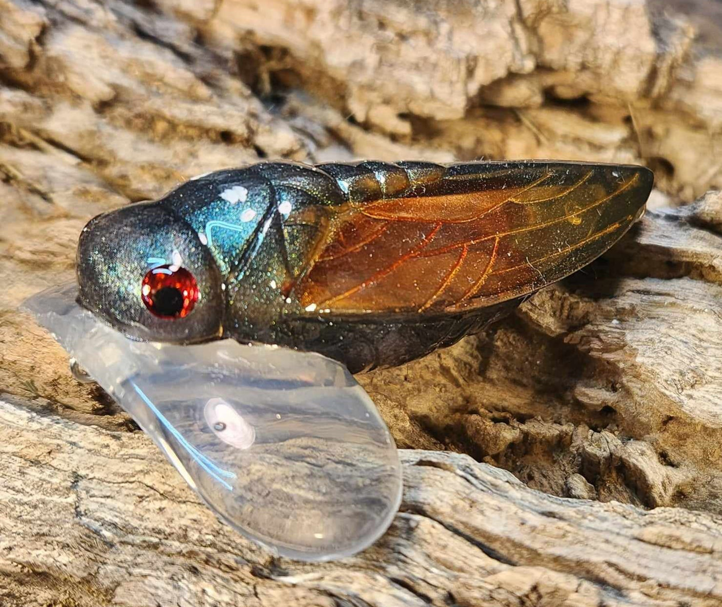 Cicada jitterbug