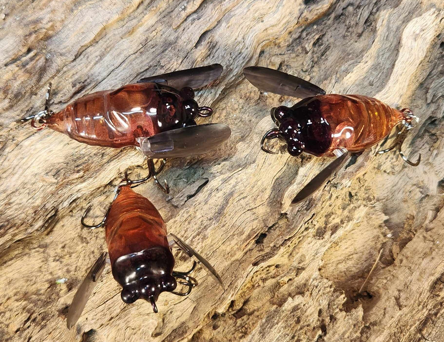 Pom Pom Cicada Crawler