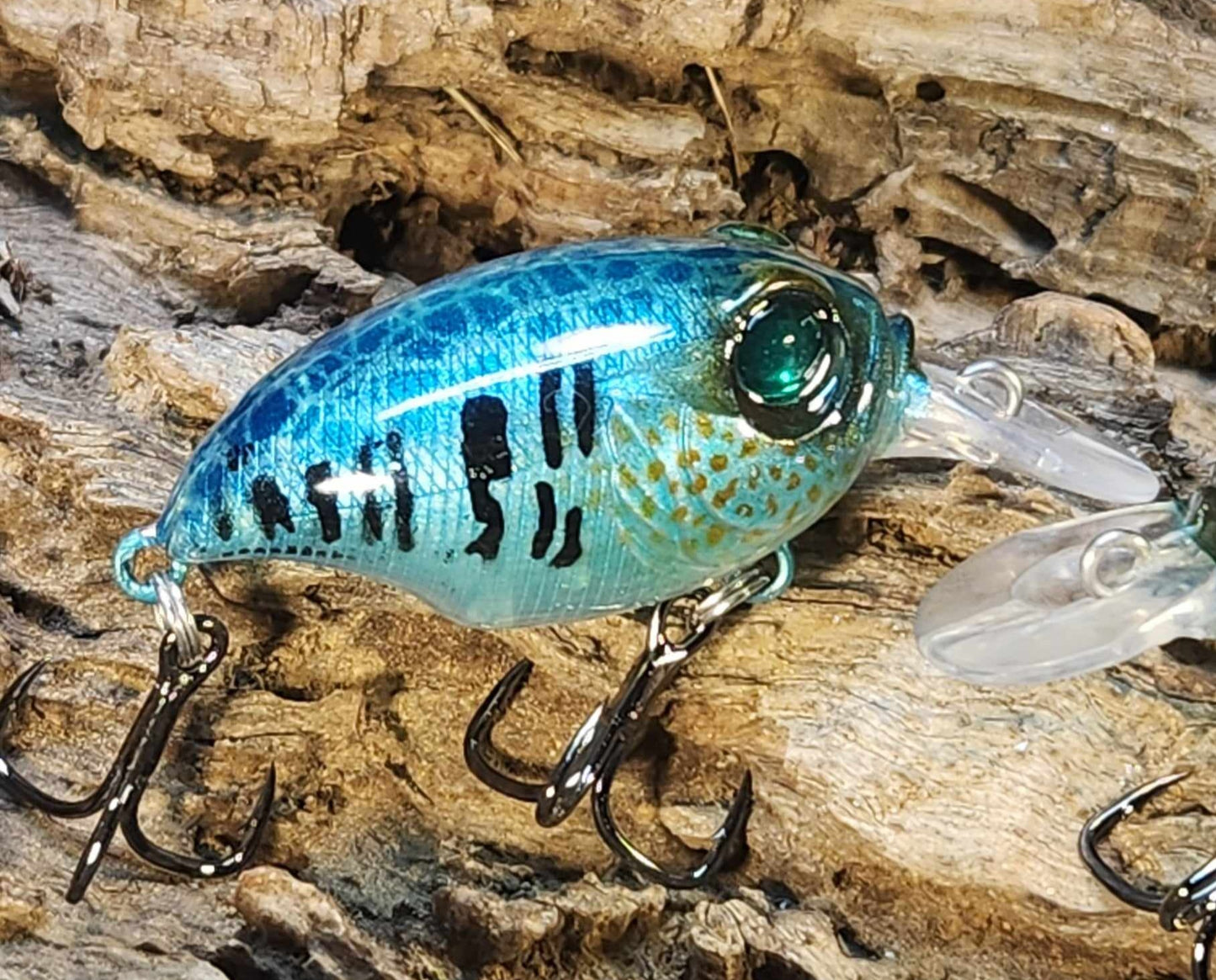 Megabass Griffon ko