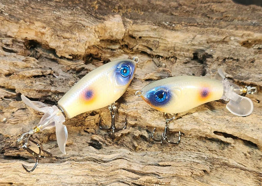 JDM Luxxe Avenge Prop 80