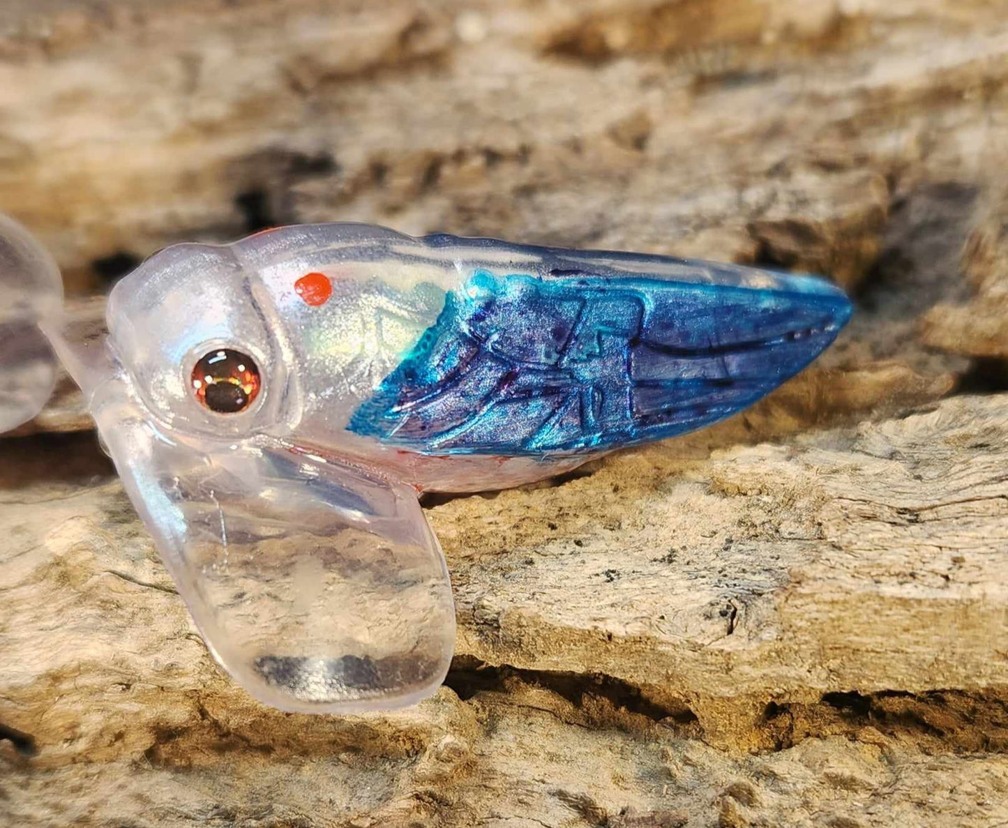Holographic Cicada jitterbug