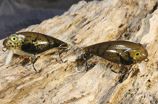 Twelve Oaks Signature Wake