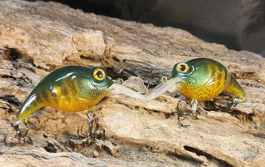 Diawa Bass Hunter ko