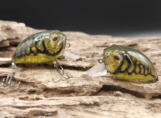 Chubby Crankbait/Wakebait BFS