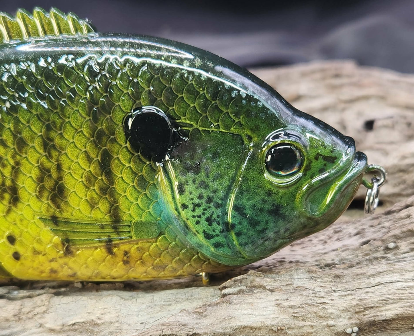 Baitsanity Explorer Gill repaint