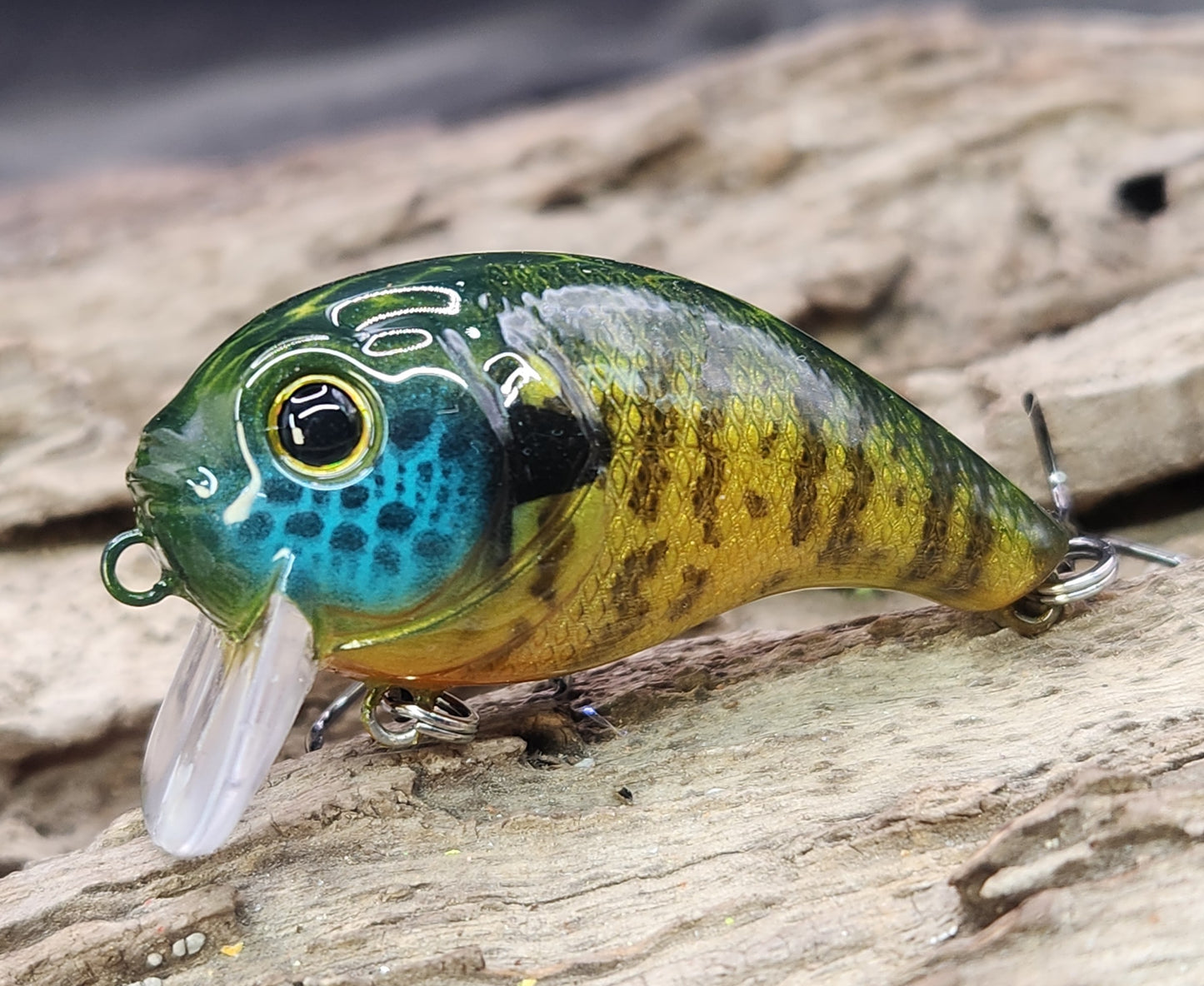 Bass Pro XPS Egg Wake ko