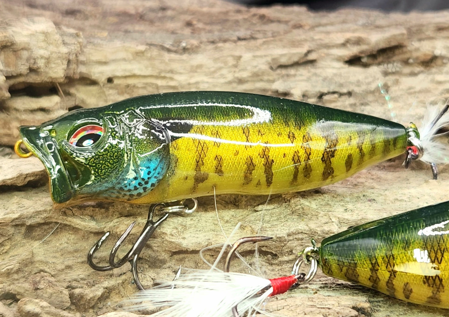 Megabass PopMax ko
