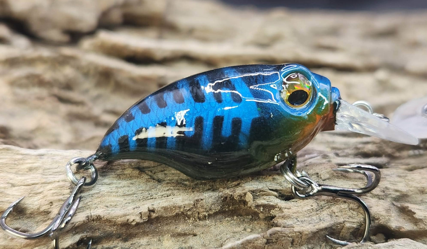 Megabass Griffon ko BFS