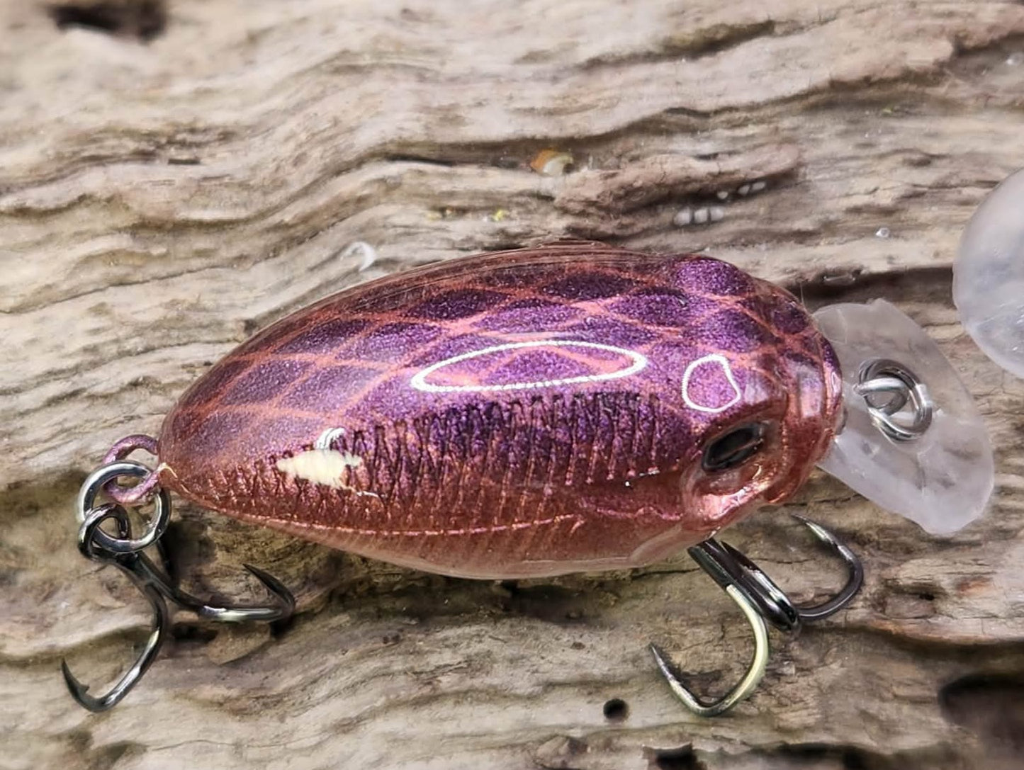 Megabass Griffon ko BFS