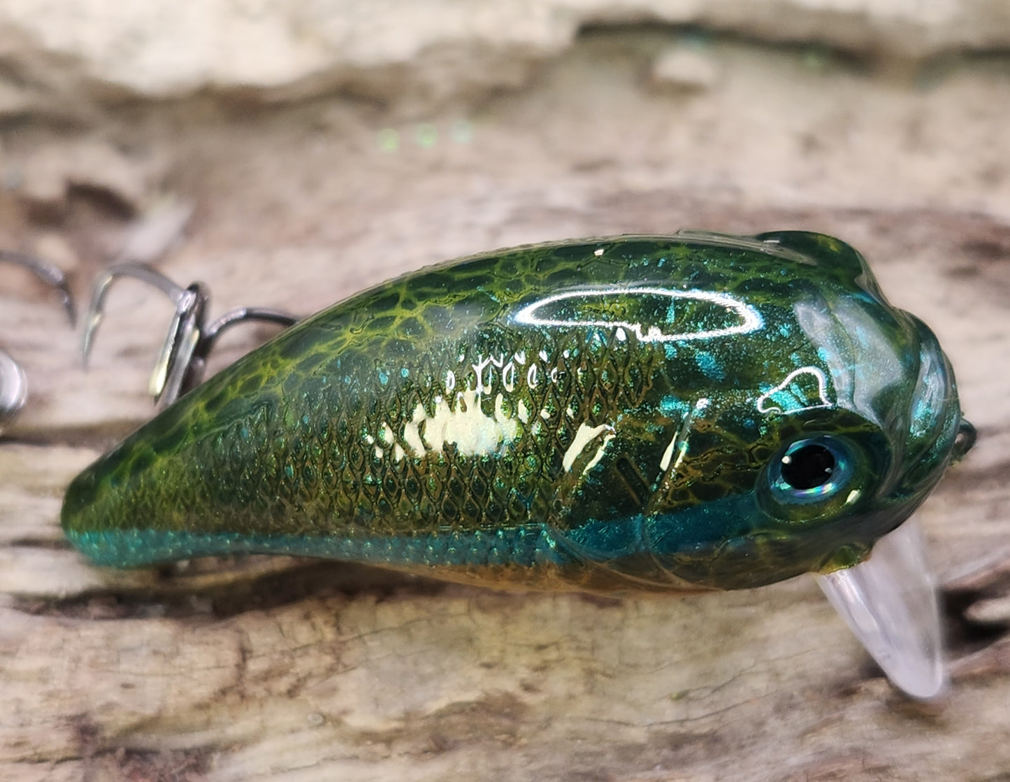 Bass Pro XPS Egg Wake ko