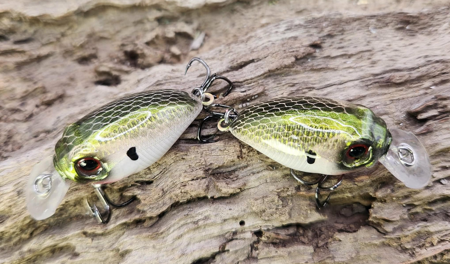 Megabass Griffon ko BFS