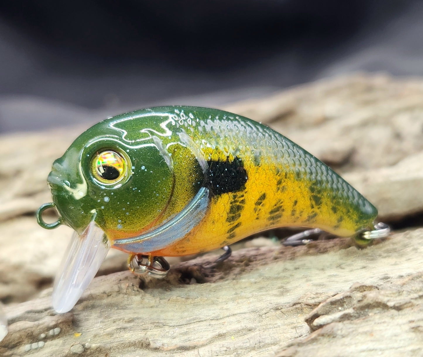 Bass Pro XPS Egg Wake ko