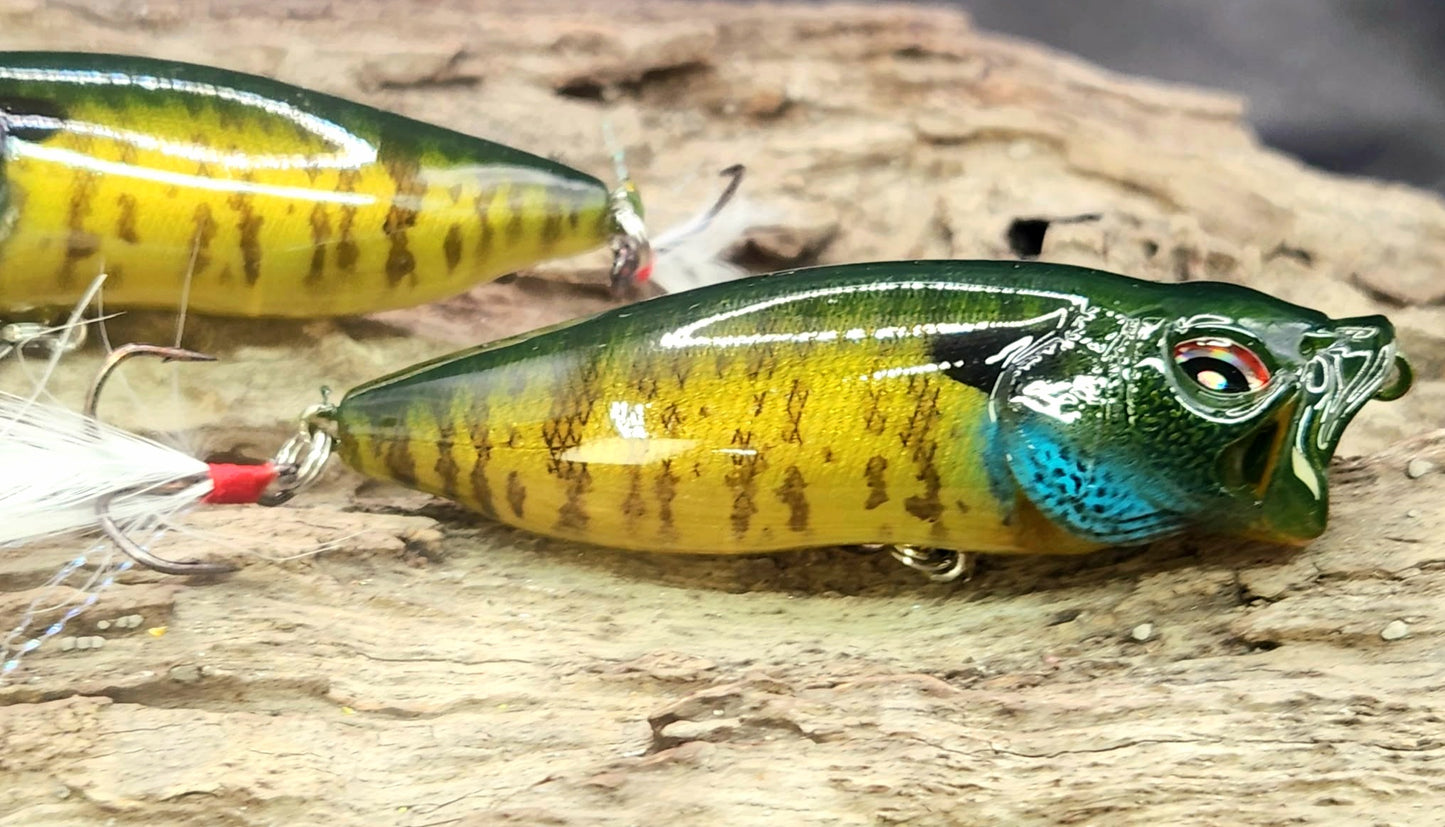 Megabass PopMax ko