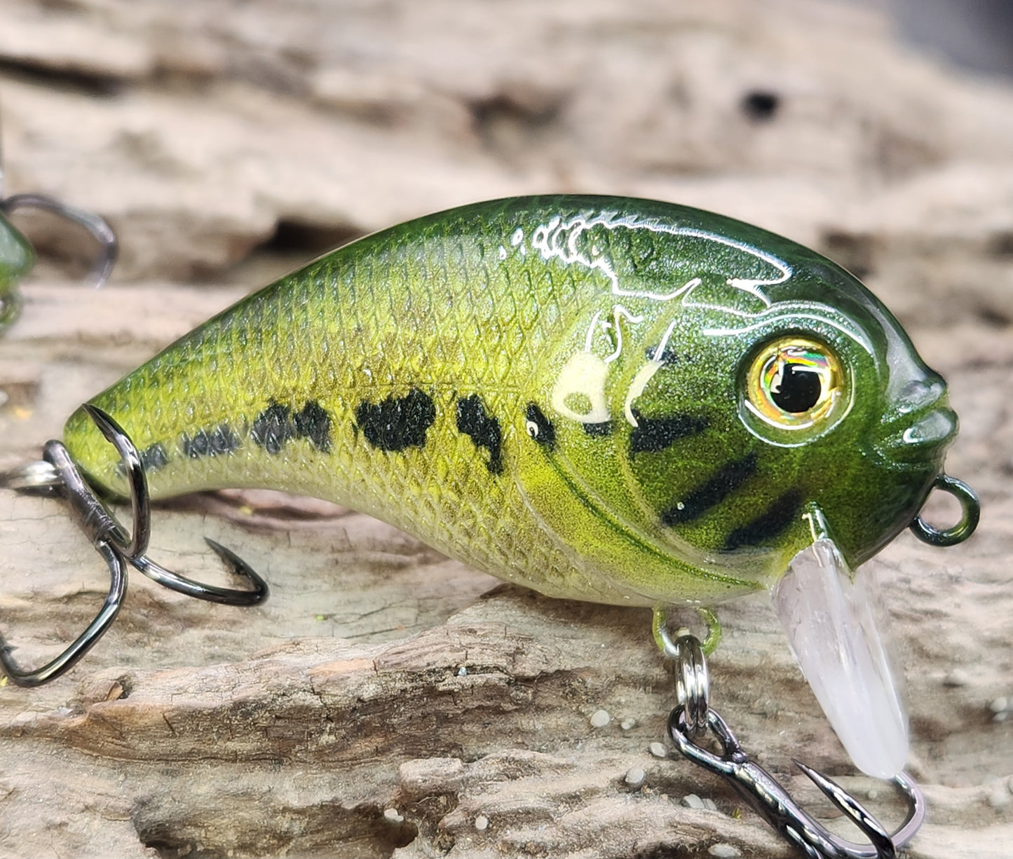 Bass Pro XPS Egg Wake ko