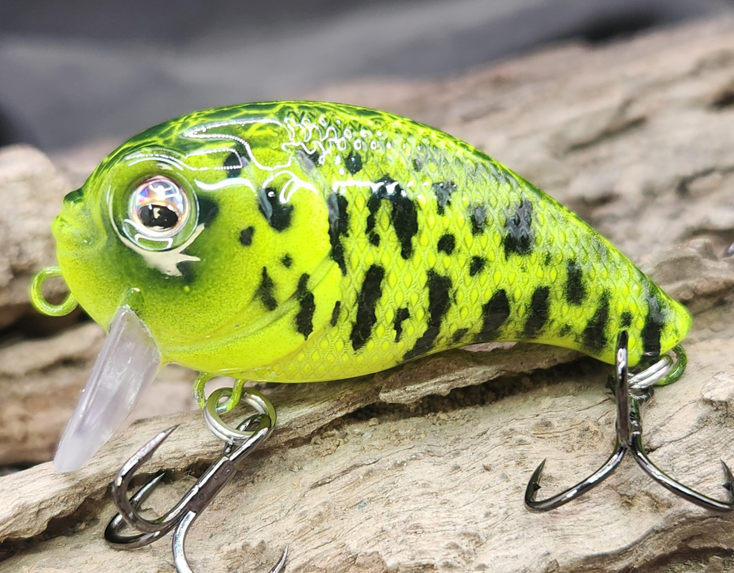 Bass Pro XPS Egg Wake ko