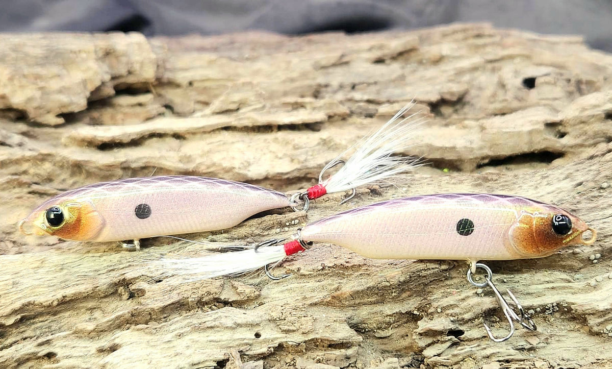 Megabass Karashi 60ko BFS