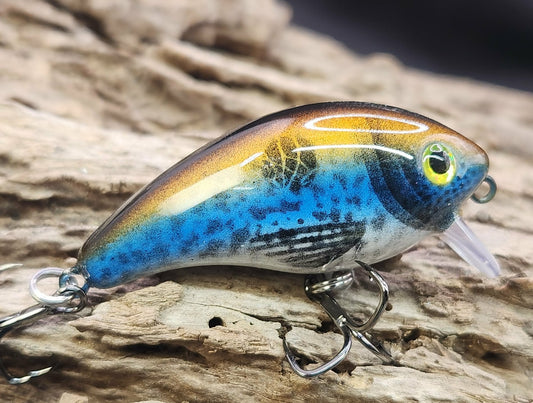 Mann's Baby 1 Minus ko