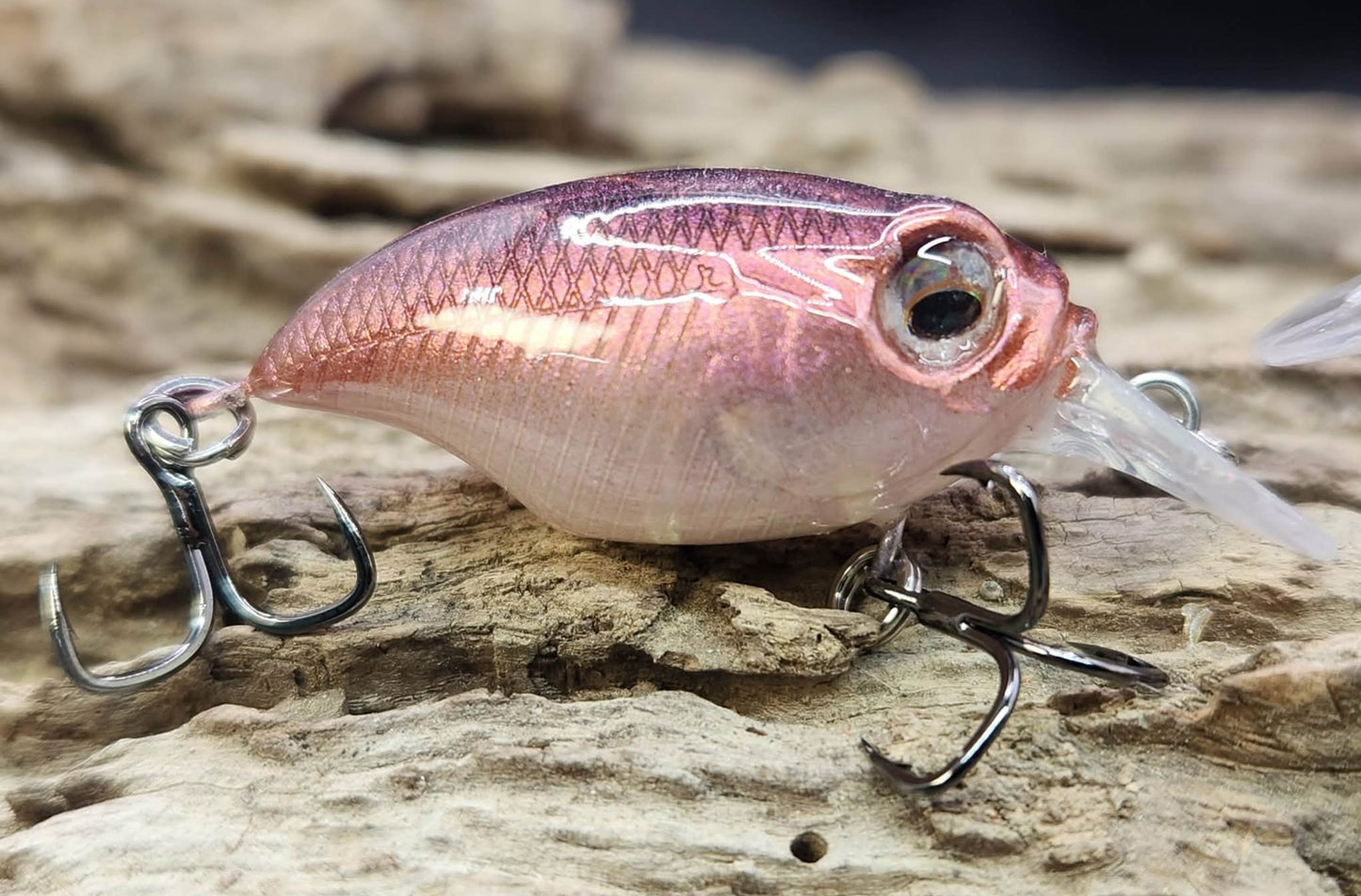 Megabass Griffon ko BFS