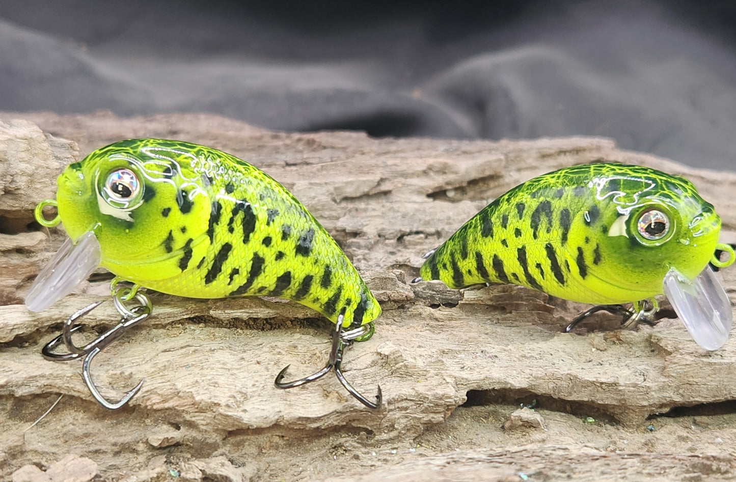 Bass Pro XPS Egg Wake ko